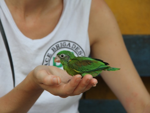 Tanja Vultier mit einem kleinen Papagei, der einem Mitglied der Friedensgemeinde gehört.