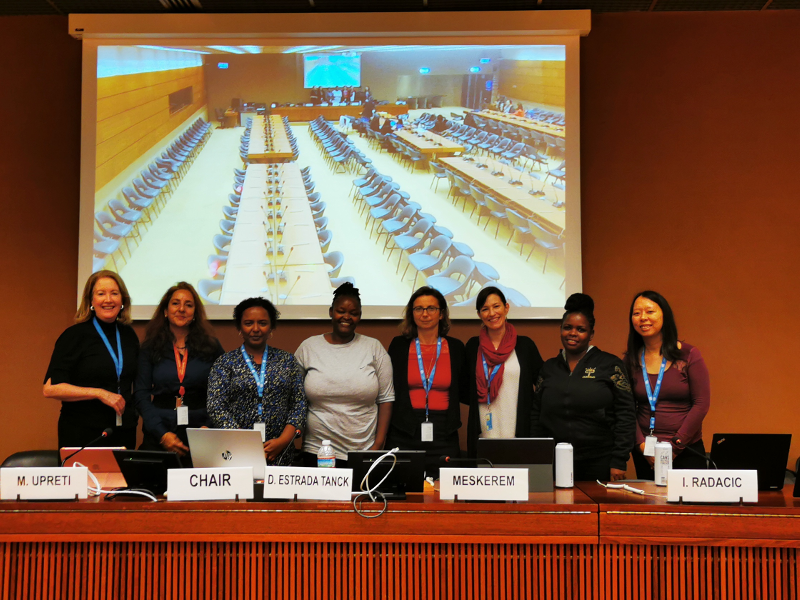 Rencontre avec le groupe de travail de l'ONU sur la discrimination à l'égard des femmes et des filles et les procédures spéciales.