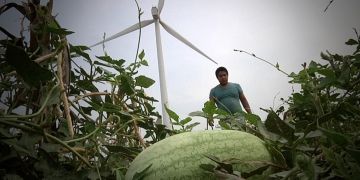 Film : PBI en Amérique latine 