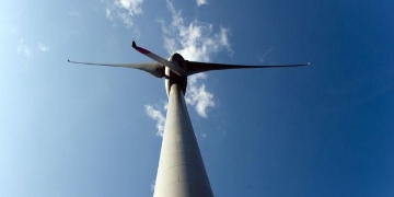 Erfolg in Oaxaca: Windenergieprojekt suspendiert