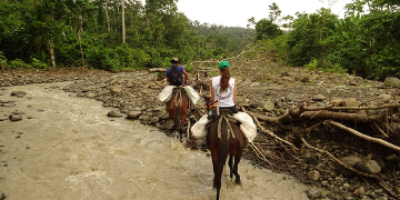 Der kolumbianische Präsident Petro unterzeichnet das Escazú-Abkommen