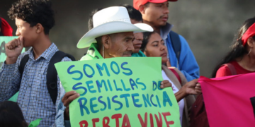 Honduras: Le Courrier consacre un article à deux défenseuses de l'environnement