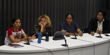 Gender and Environmental Rights: Exploring the Intersection in International Law