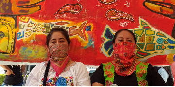 Widerstand gegen Megaprojekte in Mexiko - Diskussion & Abendessen