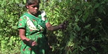 Die Pflicht zu schützen