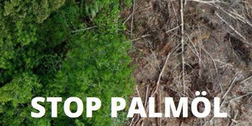 Stop Palmöl - das Referendum gegen das Freihandelsabkommen mit Indonesien