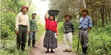 Guatemala: Le rapport "Defendemos la vida" et les luttes sociales pour l'accès à la terre et au territoire