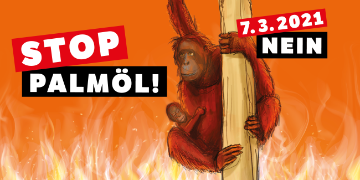 Stop Palmöl - Referendum gegen das Freihandelsabkommen mit Indonesien